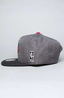Mitchell & Ness The Chicago Bulls Arch Logo G2 Snapback Hat in Gray 