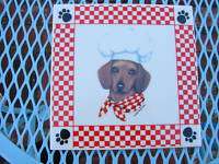 DACHSHUND DOG Wearing Chef Hat Red Checked Scarf TRIVET  