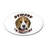 Hunting Beagle Stickers  Hunting Beagle Bumper Stickers –  
