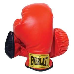 Everlast Youth Boxing Gloves (Red):  Sports & Outdoors