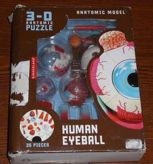  Anatomic Eyeball Puzzle 35 Pieces Anatomy Model 3D Human Eye Detailed