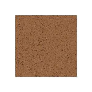 Armstrong Flooring 52157 Commercial Vinyl Composition Tile Stonetex 
