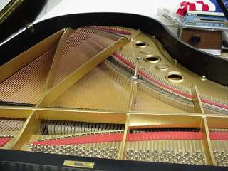 Feurich Grand Piano 63 One Of The Best German Pianos    Deep Warm 