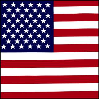 AMERICAN USA FLAG BANDANA BANDANNA BANDANAS  