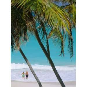  Bottom Bay Beach, East Coast, Barbados, Caribbean, West 
