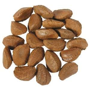  In Shell Brazil Nuts Bird Treat 5 lbs