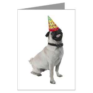  Pug Birthday Cards Pk of 10 Pets Greeting Cards Pk of 10 