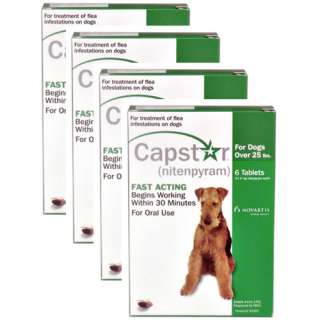 PACK CAPSTAR Green for Dogs over 25 lbs(24 tablets)  