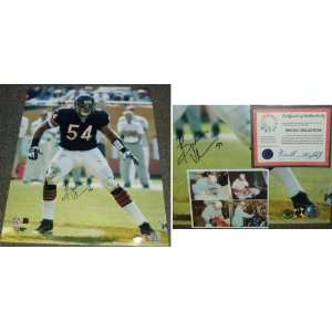 Brian Urlacher Signed Chicago Bears Action 16x20