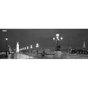  Paris Alexander III Bridge (Black and White) by Jerry 
