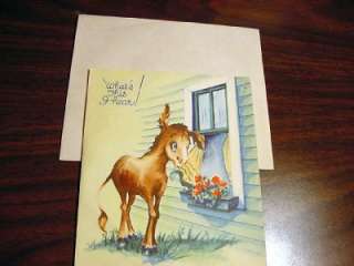 THEME: Donkey/mule eavesdropping outside an open window by a flowerbox