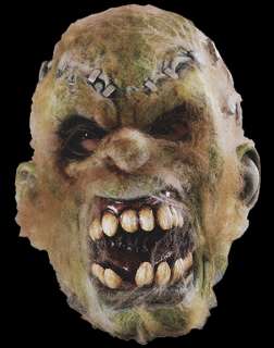 Cold Wet Moldy Corpes Zombie Halloween Mask Costume  