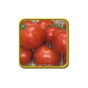   Tomato Seeds   Manitoba Bulk Vegetable Seeds Patio, Lawn & Garden