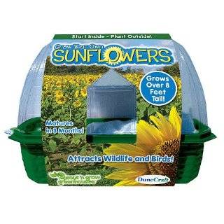 DuneCraft Sprout n Grow Greenhouses Sunflowers