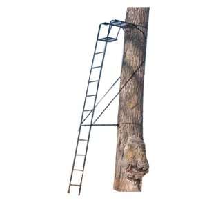    Big Game CR3800 15 Stealth Ladder Stand: Sports & Outdoors