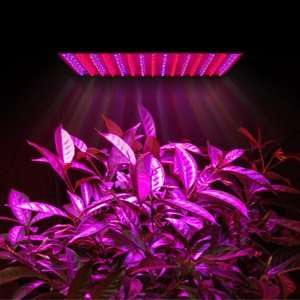    Blue Red 225 LED Ultra Thin Grow Light Panel: Kitchen & Dining