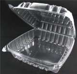 25 CLEAR Plastic Food To Go Containers 1 Compartment Hinged 9x9x3 