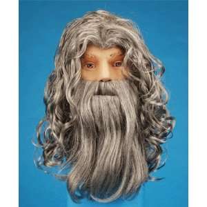  Wizard Wig & Beard Gray 