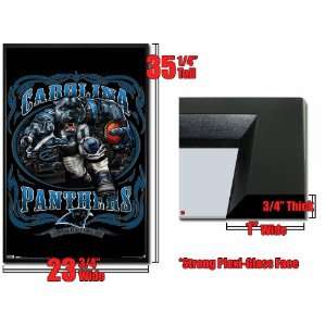   Carolina Panthers Poster Running Back Nfl Fr1083