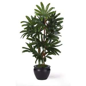  Raphis Silk Palm Tree w/Black Vase 27 in